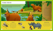 Load image into Gallery viewer, Capybara