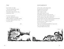 Load image into Gallery viewer, Out There in the Wild : Poems on Nature