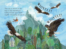 Load image into Gallery viewer, Little Robin's Book of Birds