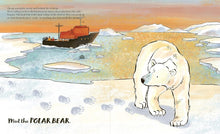 Load image into Gallery viewer, Meet the Bears