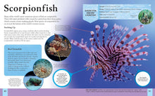 Load image into Gallery viewer, The Ocean Book : A Deep Dive into Our World's Oceans