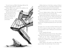 Load image into Gallery viewer, Hunt for the Golden Scarab