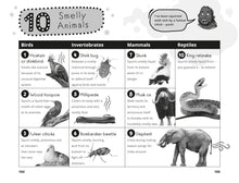 Load image into Gallery viewer, Hamza's Wild World