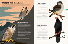 Load image into Gallery viewer, Encyclopedia of Birds