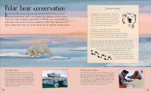 Load image into Gallery viewer, Life in the Wild : Observing the Mysterious Lives of 10 Real Animals