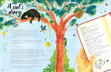 Load image into Gallery viewer, A Bear Belongs : A rescue story