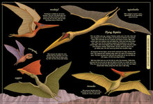 Load image into Gallery viewer, Secret Stories of Lost Beasts :