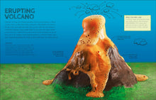 Load image into Gallery viewer, Home Activity Lab