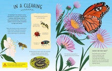 Load image into Gallery viewer, Adventures in Nature: Exploring Woods