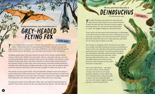 Load image into Gallery viewer, Choose Your Own Evolution: Go Extinct or Survive