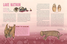 Load image into Gallery viewer, Spooky Lakes