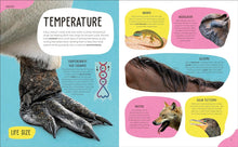 Load image into Gallery viewer, The Animal Body Book