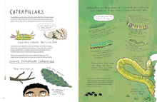 Load image into Gallery viewer, The Observologist