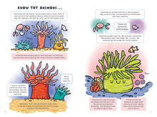 Load image into Gallery viewer, Barnacle Bay