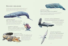 Load image into Gallery viewer, Water World