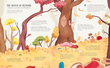 Load image into Gallery viewer, The Secret Life of Bugs, Bees & Trees