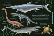 Load image into Gallery viewer, Secret Stories of Lost Beasts :