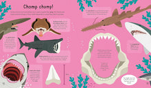 Load image into Gallery viewer, Sharks! Sharks! Sharks! : Sharks are Cool and So is This Book. Fact.