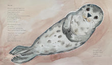 Load image into Gallery viewer, The Seal on the Beach