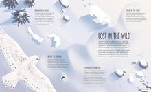 Load image into Gallery viewer, Lost