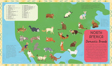 Load image into Gallery viewer, Lonely Planet Kids Atlas of Cats