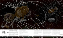 Load image into Gallery viewer, Small World : Meet 30 of Earth’s tiniest inhabitants