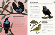 Load image into Gallery viewer, Encyclopedia of Birds