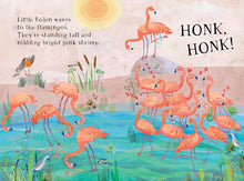 Load image into Gallery viewer, Little Robin's Book of Birds