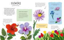 Load image into Gallery viewer, Adventures in Nature: Exploring Parks