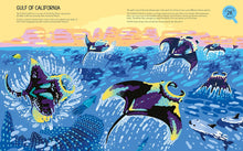 Load image into Gallery viewer, Majestic Oceans : Discover the World Beneath the Waves