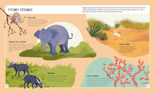 Load image into Gallery viewer, Pygmy Hippo