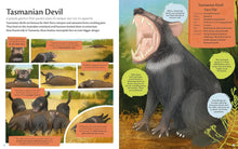 Load image into Gallery viewer, Curious Features of Extraordinary Creatures: Clean-Up Crew