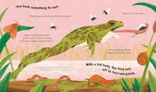 Load image into Gallery viewer, Watch Me Grow: Frogs