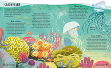 Load image into Gallery viewer, Get Your Animals in Order: Classifying the Animal World