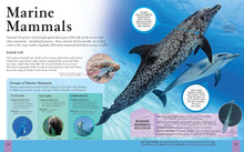 Load image into Gallery viewer, The Ocean Book : A Deep Dive into Our World's Oceans