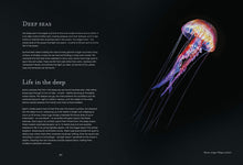 Load image into Gallery viewer, Water World