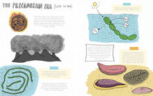 Load image into Gallery viewer, Stones and Bones and the Stories They Tell