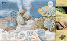 Load image into Gallery viewer, Water Cycles