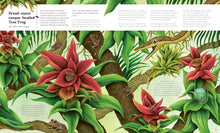 Load image into Gallery viewer, Small World : Meet 30 of Earth’s tiniest inhabitants