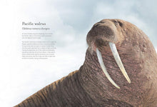 Load image into Gallery viewer, Water World