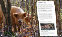 Load image into Gallery viewer, Wilding: How to Bring Wildlife Back - An Illustrated Guide