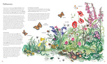 Load image into Gallery viewer, Wilding: How to Bring Wildlife Back - An Illustrated Guide