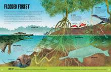 Load image into Gallery viewer, My First Ocean Atlas