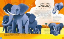 Load image into Gallery viewer, Queens of the Jungle