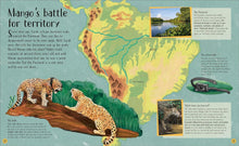 Load image into Gallery viewer, Life in the Wild : Observing the Mysterious Lives of 10 Real Animals