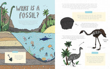 Load image into Gallery viewer, Stones and Bones and the Stories They Tell