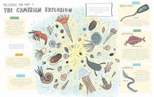 Load image into Gallery viewer, Stones and Bones and the Stories They Tell