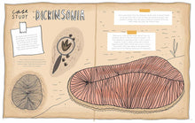 Load image into Gallery viewer, Stones and Bones and the Stories They Tell