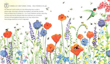 Load image into Gallery viewer, One World: 24 Hours on Planet Earth