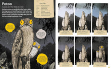 Load image into Gallery viewer, Curious Features Of Extraordinary Creatures